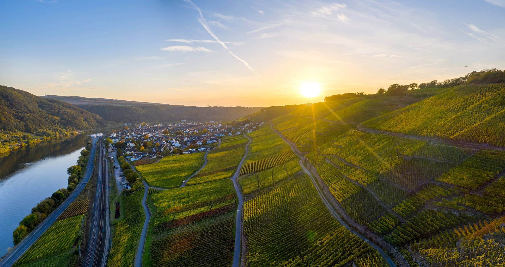 Weingut Weyh Lagen